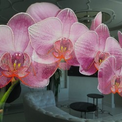 Картина "Нежная орхидея"
